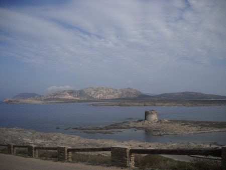 l'isola dell'Asinara, sullo sfondo